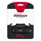 1000G FURY Renegade PCIe 4.0 NVMe M.2